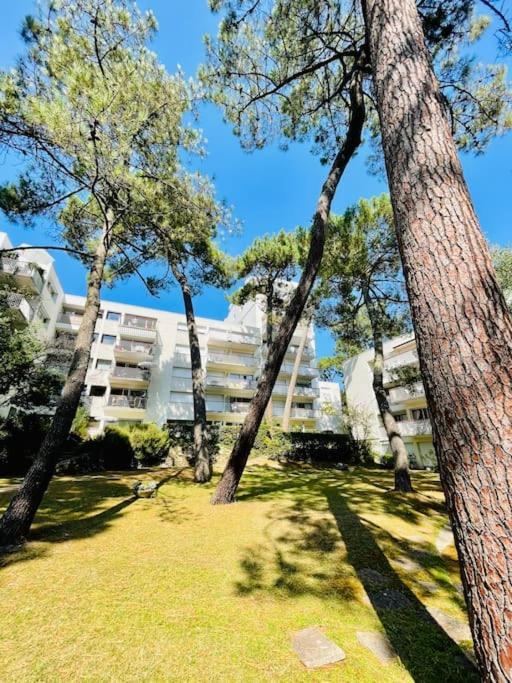 Les Faunes A Appartement